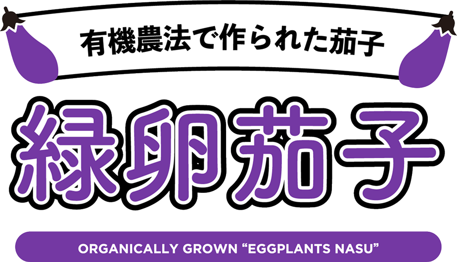 有機農法で作られた茄子　緑卵茄子（りょくらんなす）